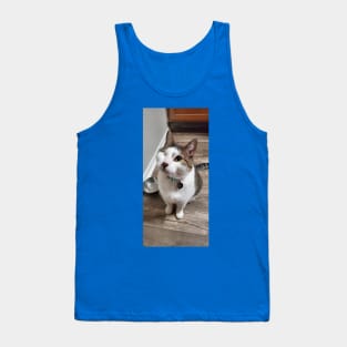 Lester! Tank Top